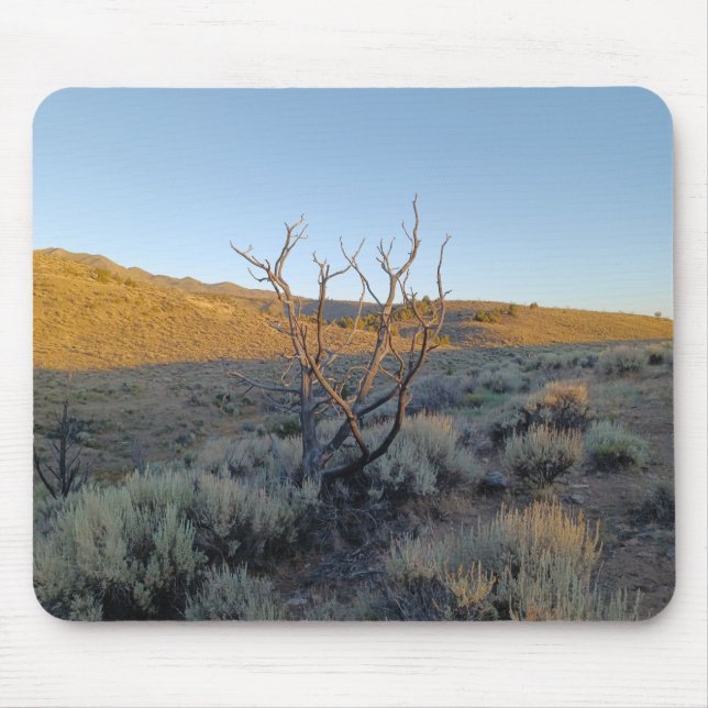 Toter Baum in der Nevada-Wüste Mousepad (Vorne)