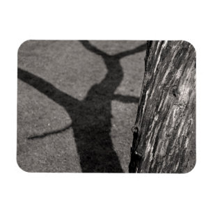 Toter Baum Magnet