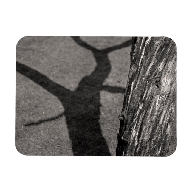 Toter Baum Magnet (Horizontal)