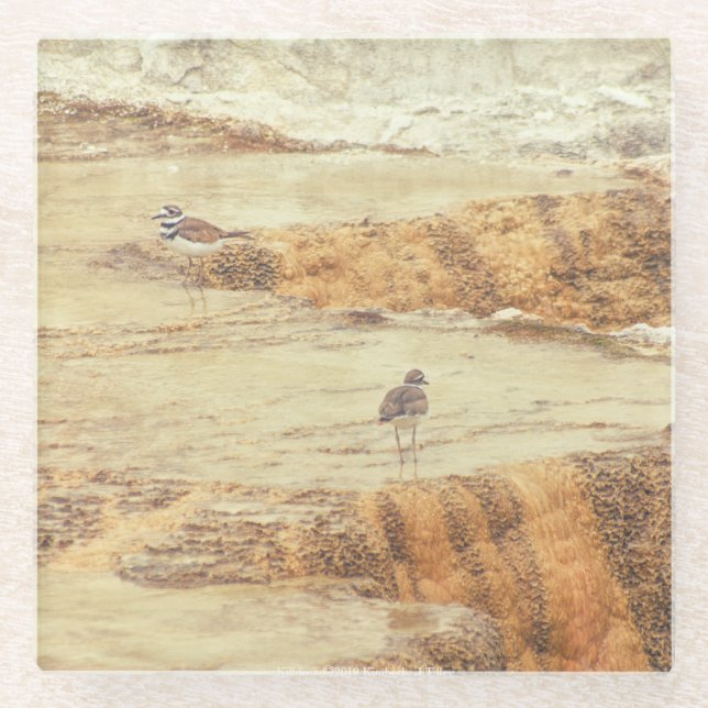 Töter Glasuntersetzer (Vorderseite)