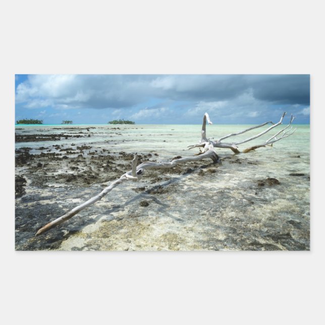 Totes Holz im rechteckigen Pazifik-Aufkleber Rechteckiger Aufkleber (Vorderseite)