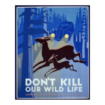 Tötet nicht unser Wild Life Poster