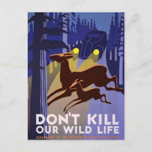 Tötet unsere Wildtiere nicht Postkarte