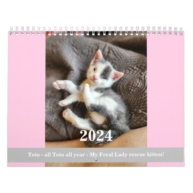 Toto Kitten (My Feral Lady Rescue) 2024 Kalender (Titelbild)