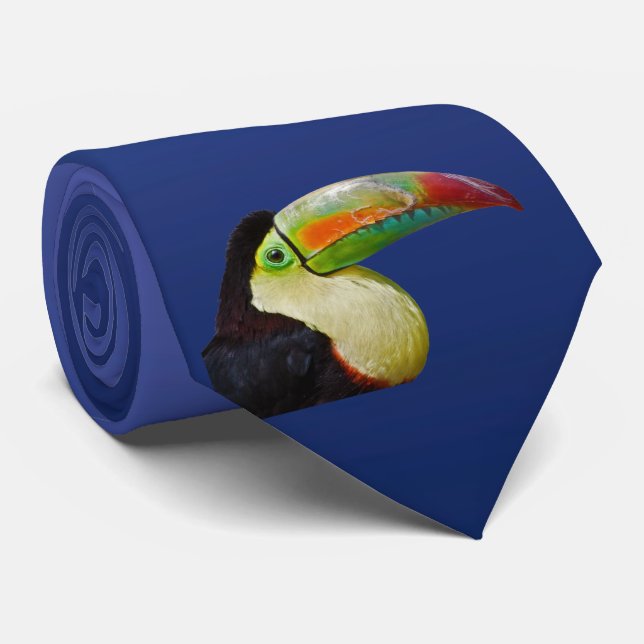 Tou À Bout Arc-En-Ciel Peut Le Faire Cravate (Bleu (Roulé)