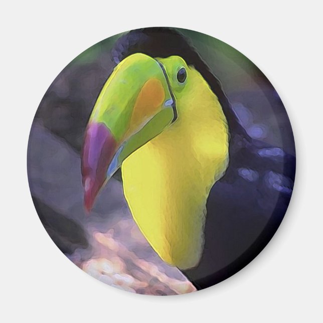 Toucan 1 Magnet (Vorne)