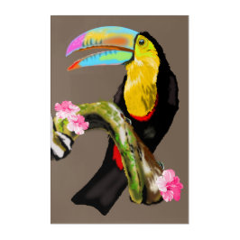 Toucan-Akrylprint Acryl Wandkunst