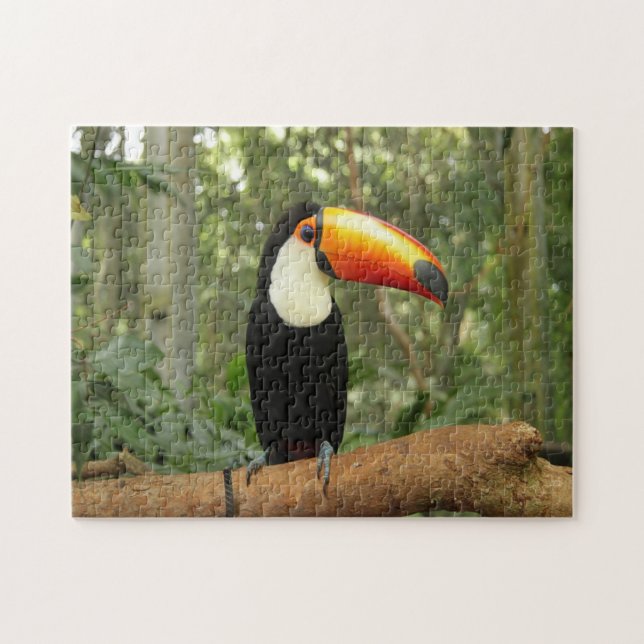 Toucan am Baumzweig (Horizontal)