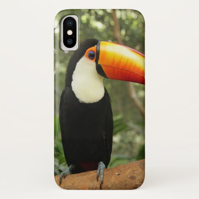 Toucan am Baumzweig Case-Mate iPhone Hülle (Rückseite)