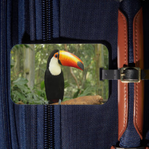 Toucan am Baumzweig Gepäckanhänger