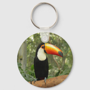 Toucan am Baumzweig Schlüsselanhänger
