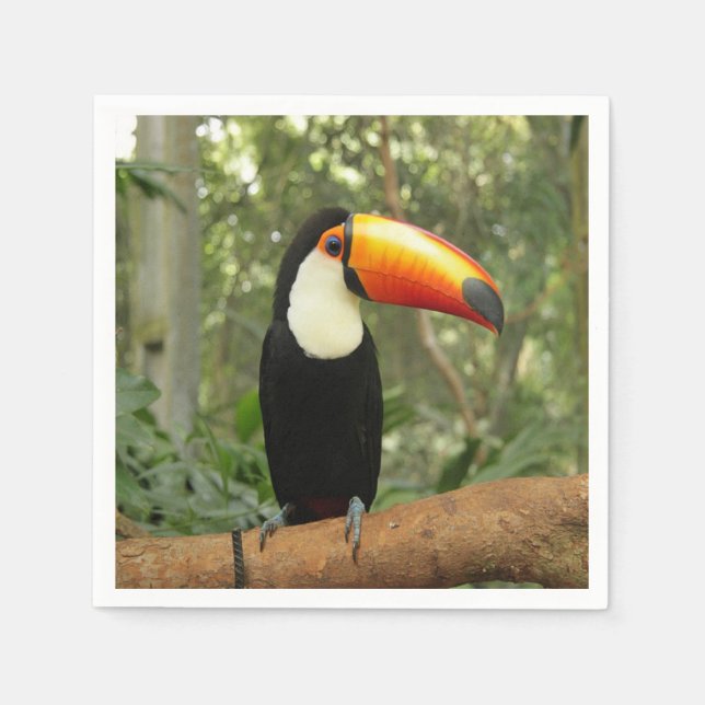 Toucan am Baumzweig Serviette (Vorderseite)