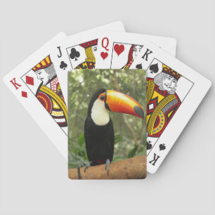 Toucan am Baumzweig Spielkarten