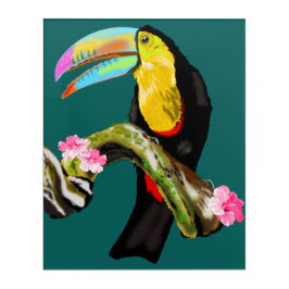 Toucan Bird Acrylic Print Acryl Wandkunst