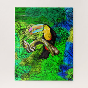 Toucan Bird - Exotic - Zeichnend