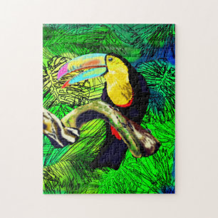 Toucan Bird - Exotische Natur -