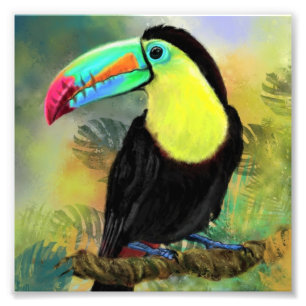 Toucan Bird Foto Print Toco Painting Geschenk