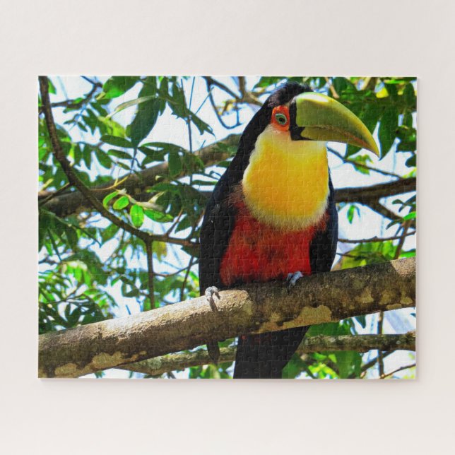 Toucan Bird Jigsaw Puzzle (Horizontal)