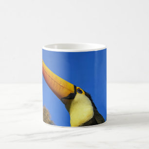 Toucan Bird Kaffeetasse
