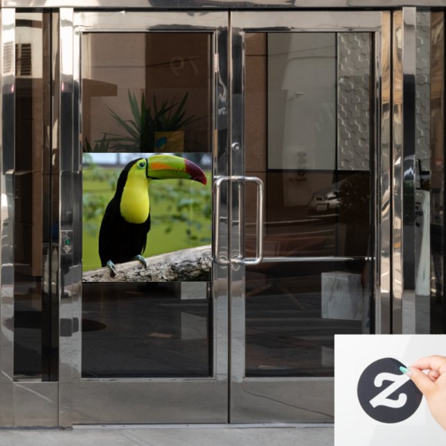 TOUCAN BIRD Window Cling Fensteraufkleber (Büro Tür)