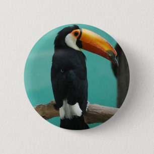 Toucan Button