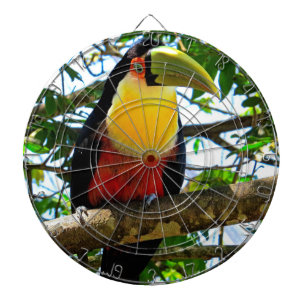 Toucan Dartboard Dartscheibe