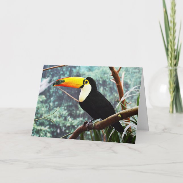Toucan Feiertagskarte (Vorderseite)