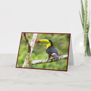 Toucan Folded Grußkarte Dankeskarte