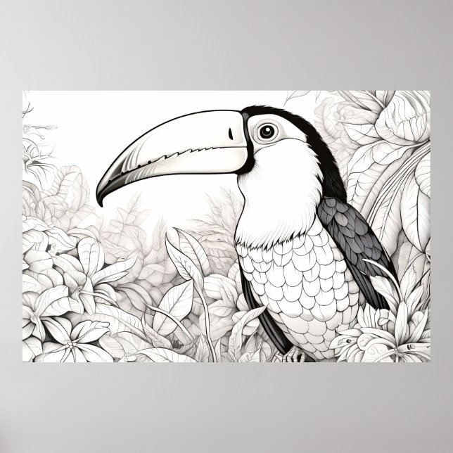 Toucan Friedlich Nature Prairie Sketch Zeichnend K Poster (Vorne)