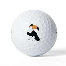 Toucan