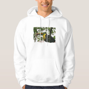 Toucan im Dschungel Hoodie