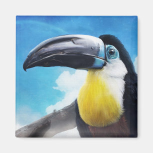 Toucan in Misty Air digitale tropische Vogelmalere Magnet