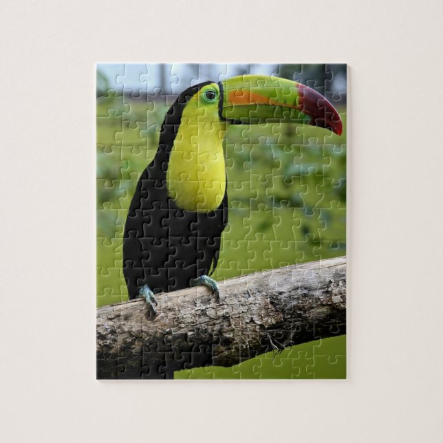 TOUCAN Jigsaw Puzzle (Vertikal)