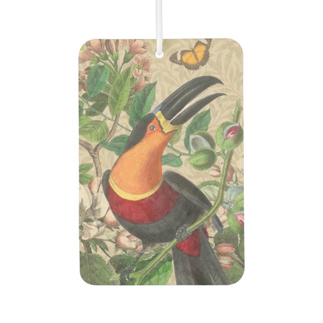 Toucan Jungle Tropical Bird Beautiful Antique Autolufterfrischer (Vorderseite)