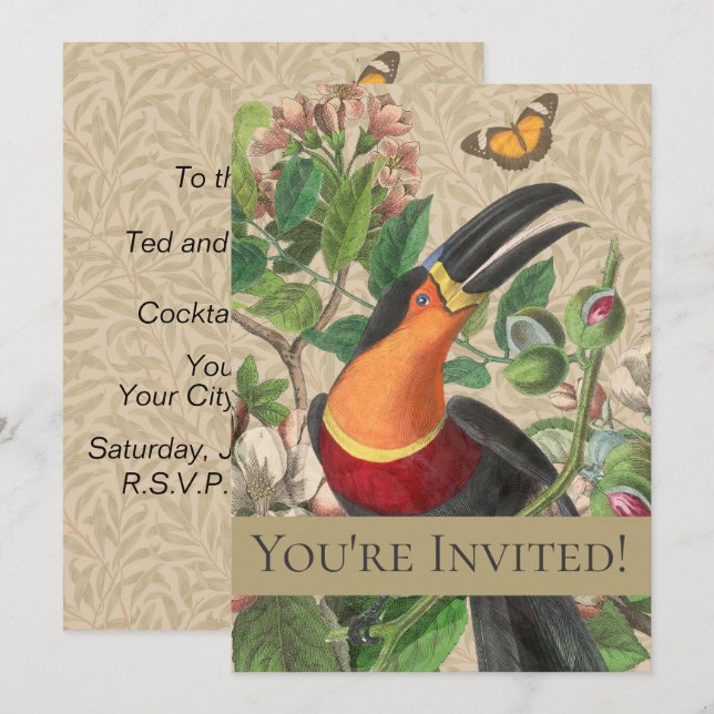Toucan Jungle Tropical Bird Beautiful Antique Einladung (Vorne/Hinten)