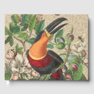 Toucan Jungle Tropical Bird Beautiful Antique Gästebuch