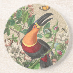 Toucan Jungle Tropical Bird Beautiful Antique Getränkeuntersetzer