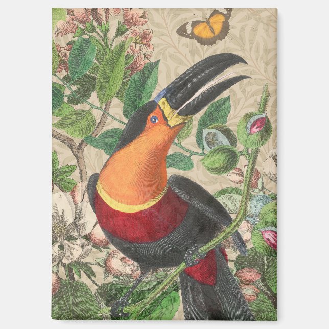 Toucan Jungle Tropical Bird Beautiful Antique Magnet (Vorderseite)