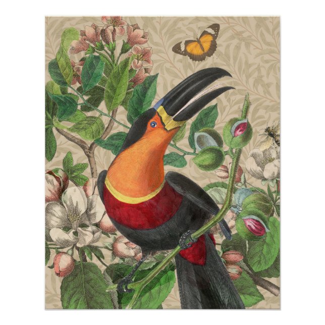 Toucan Jungle Tropical Bird Beautiful Antique Poster (Vorderseite)