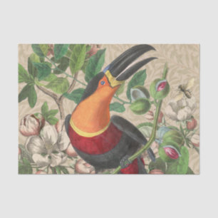 Toucan Jungle Tropical Bird Beautiful Antique Seidenpapier
