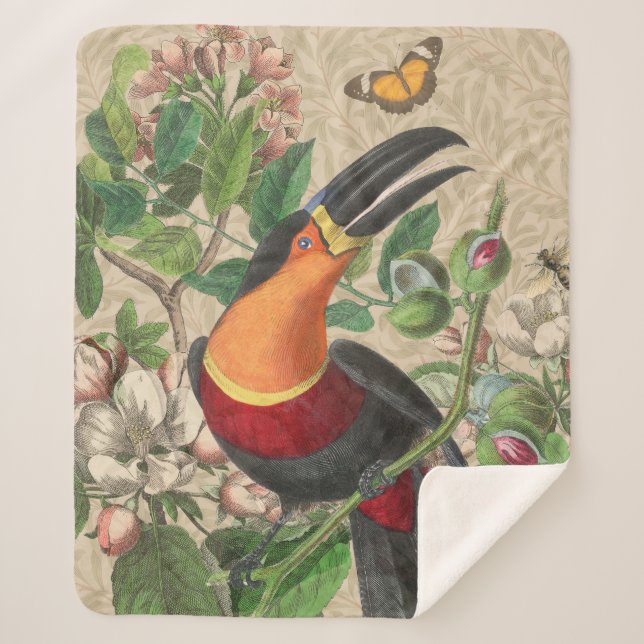 Toucan Jungle Tropical Bird Beautiful Antique Sherpadecke (Vorderseite)