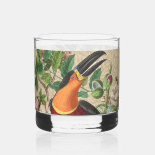 Toucan Jungle Tropical Bird Beautiful Antique Whiskyglas