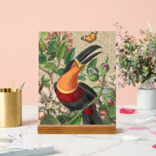Toucan Jungle Tropical Bird Belle antique (Mariage)