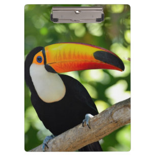 Toucan Klemmbrett