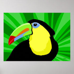 Toucan Kunst-Plakate und Drucke