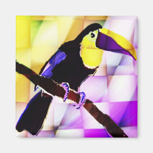 Toucan-Magnet Magnet