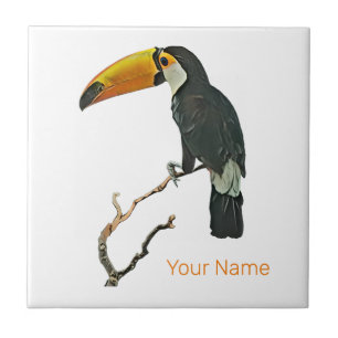 Toucan Portrait Animal Tropical Bird Design Fliese