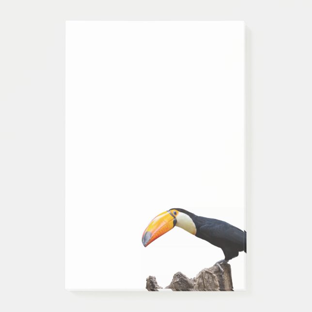 Toucan Post-it Klebezettel (Vorderseite)