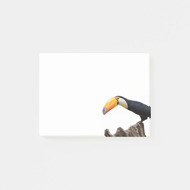 Toucan Post-it Klebezettel (Vorderseite)