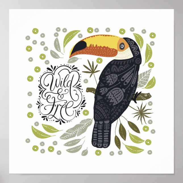 Toucan Posters Poster (Vorne)